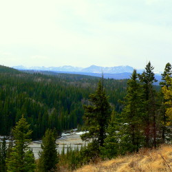 overlooking the Big Hill Creek Valley
